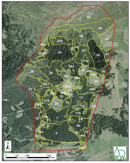 Die drei Vortragenden hatten detaillierte Informationen über bestehende Schutzwälder mitgebracht. | Foto: HTL Imst