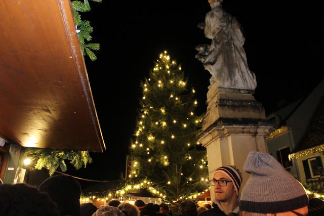 Foto: Katrin Löschnig