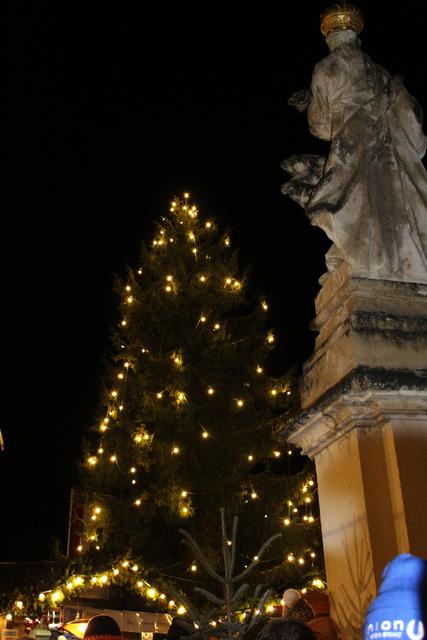 Foto: Katrin Löschnig