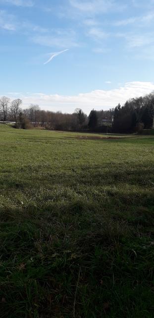 Auf dieser “grünen Wiese” sollen laut Informationen von "Pro Wildon" ein Wohnprojekt entstehen. | Foto: KK