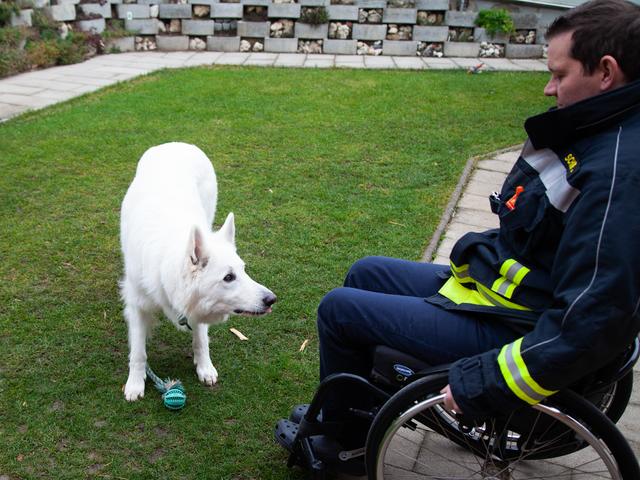 Pauli nützt jede Gelegenheit um spielen zu können. | Foto: Regina Courtier