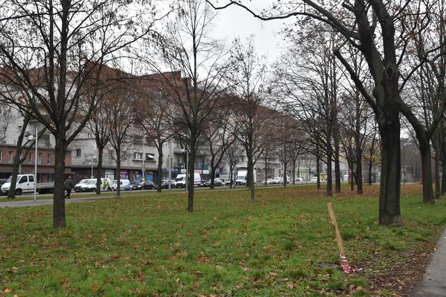 Der Grün-Bereich zwischen Arbeitergasse und Schönbrunner Straße heißt jetzt "Stefan-Weber-Park". | Foto: Karl Pufler