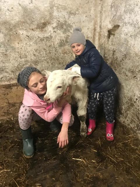 Albino Thema Auf Meinbezirk At