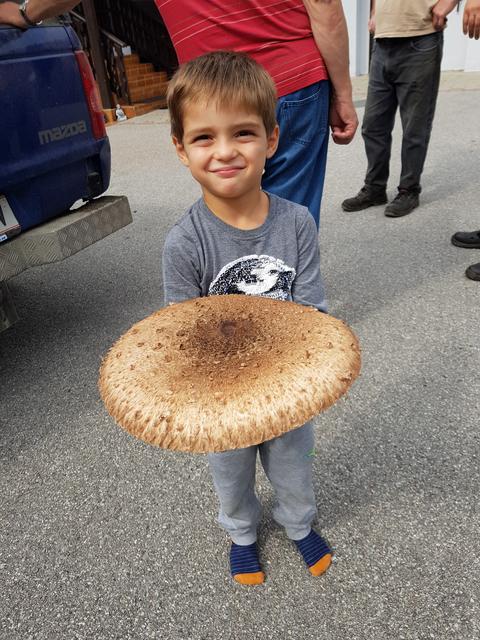 Parasol | Foto: Yvonne Plank