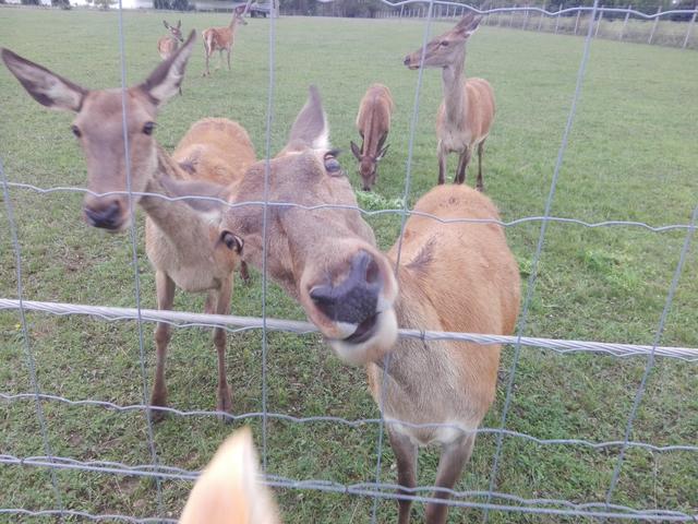 Schräg | Foto: Regionaut Oliver Class