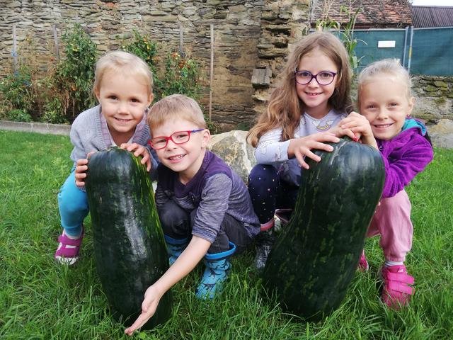 Riesenkürbisse von Oma | Foto: Ilse Kaiser