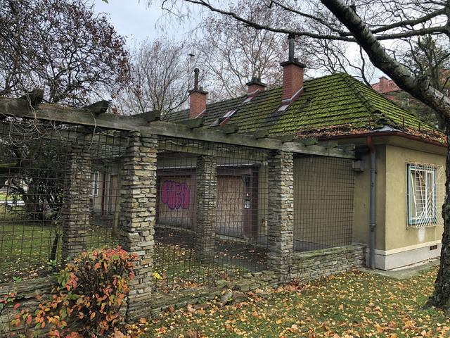 Verriegelte Fenster und Türen, zerbrochene Scheiben, bröckelnde Fassaden und beschmierte Wände. Die Alte-Leute-Siedlung war mal ein Vorzeigeprojekt der Stadt Wien. 