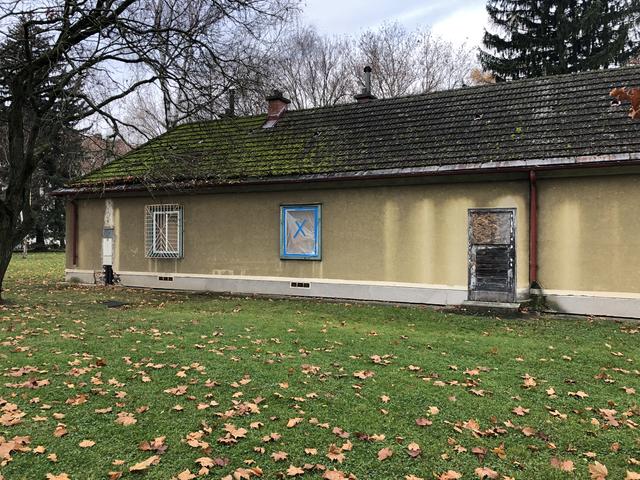 Verriegelte Fenster und Türen, zerbrochene Scheiben, bröckelnde Fassaden und beschmierte Wände. Die Alte-Leute-Siedlung war mal ein Vorzeigeprojekt der Stadt Wien. 