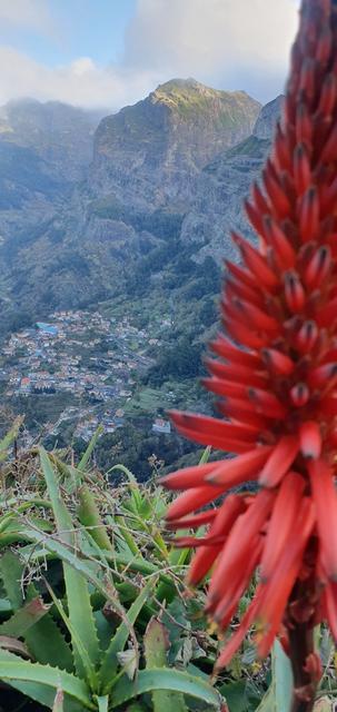 Madeira