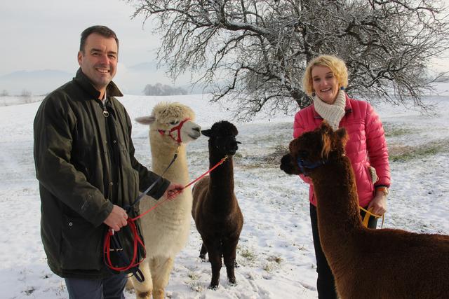 Die geprüften Coaches für Alpakas und therapiegestützte Aktivitäten, Werner und Michaela Glanzer mit Snoopy, Artus und Diego. Die Beiden wandern mit den Tieren zu jeder Jahreszeit