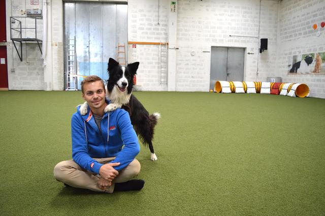 Lukas Pratschker und Bordercollie Falco in freuen sich auf Besuch in ihrer Trainingshalle in Liesing.