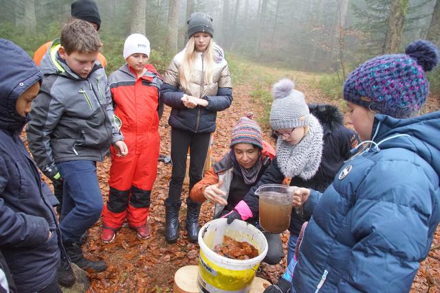 Die Wasserdurchlässigkeit von unterschiedlichen Waldböden wurden von den Schülern der NMS Rohrbach unter Anleitung der Waldpädagogin Iris Niederdöckl fachkundig untersucht. | Foto: Helmut Eder