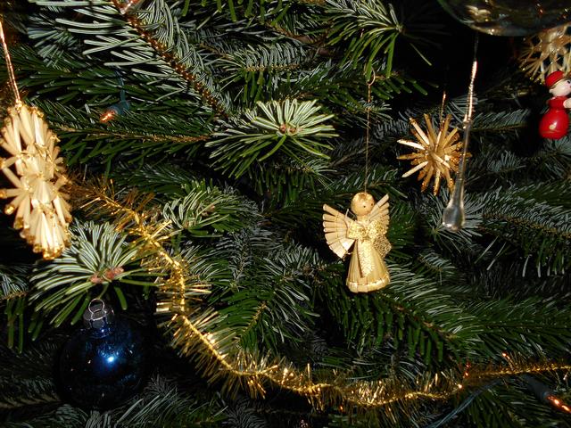 Im Lichterglanz des festlich geschmückten Weihnachtsbaums leuchten nicht nur Kinderaugen, auch die Erwachsenen erfreuen sich daran! ...