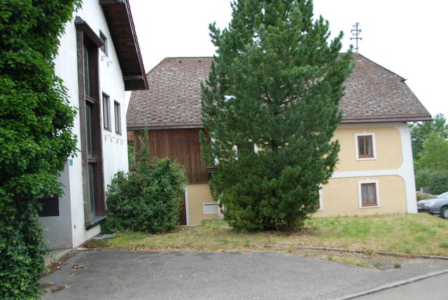 Foto: Christine Steiner-Watzinger