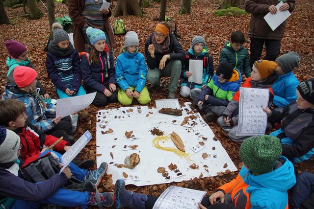 Die Artenvilefalt und die ökologischen Zusammenhänge im Waldboden erarbeitetn die Schüler mit der Projektmitarbeiterin Elisabeth Frank vom Wessely- Haus . | Foto: Helmut Eder