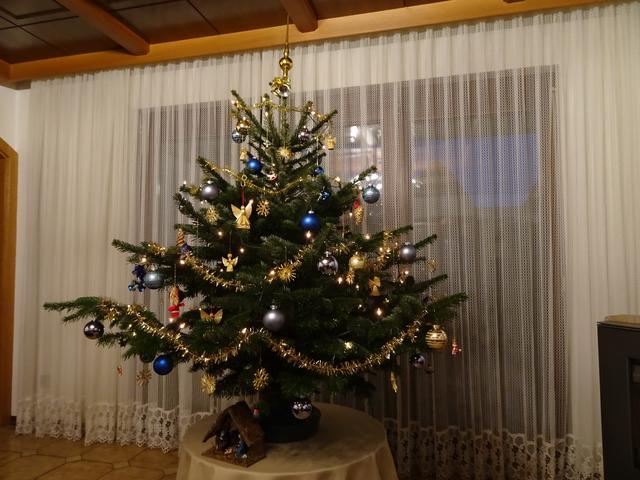 Ein Christbaum gehört zum Weihnachtsfest einfach dazu, er komplettiert das stimmungsvolle, weihnachtliche Ambiente. 
Der Ursprung des Weihnachtsbaumes liegt im heidnischen Brauchtum. Schon vor vielen Jahrhunderten waren immergrüne Pflanzen in heidnischen Kulturen ein Symbol für Lebenskraft. 
Der erste Weihnachtsbaum mit Kerzen wurde in Schlesien im Jahr 1611 geschmückt. 