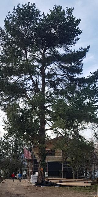 Das neue Wohnhaus beim Bundesforstebadeplatz.