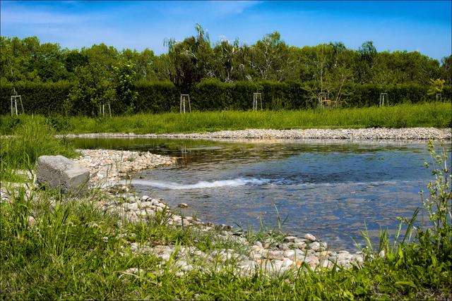 Idylle mitten im Bezirk: Der Simmeringer Zentralfriedhof hat vor allem für Naturliebhaber so einiges zu bieten. | Foto: Sylvia S.