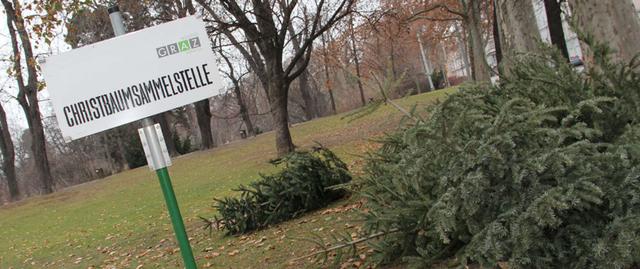 Bis zum 19. Jänner kann man seine Christbäume im Grazer Stadtgebiet kostenlos entsorgen.