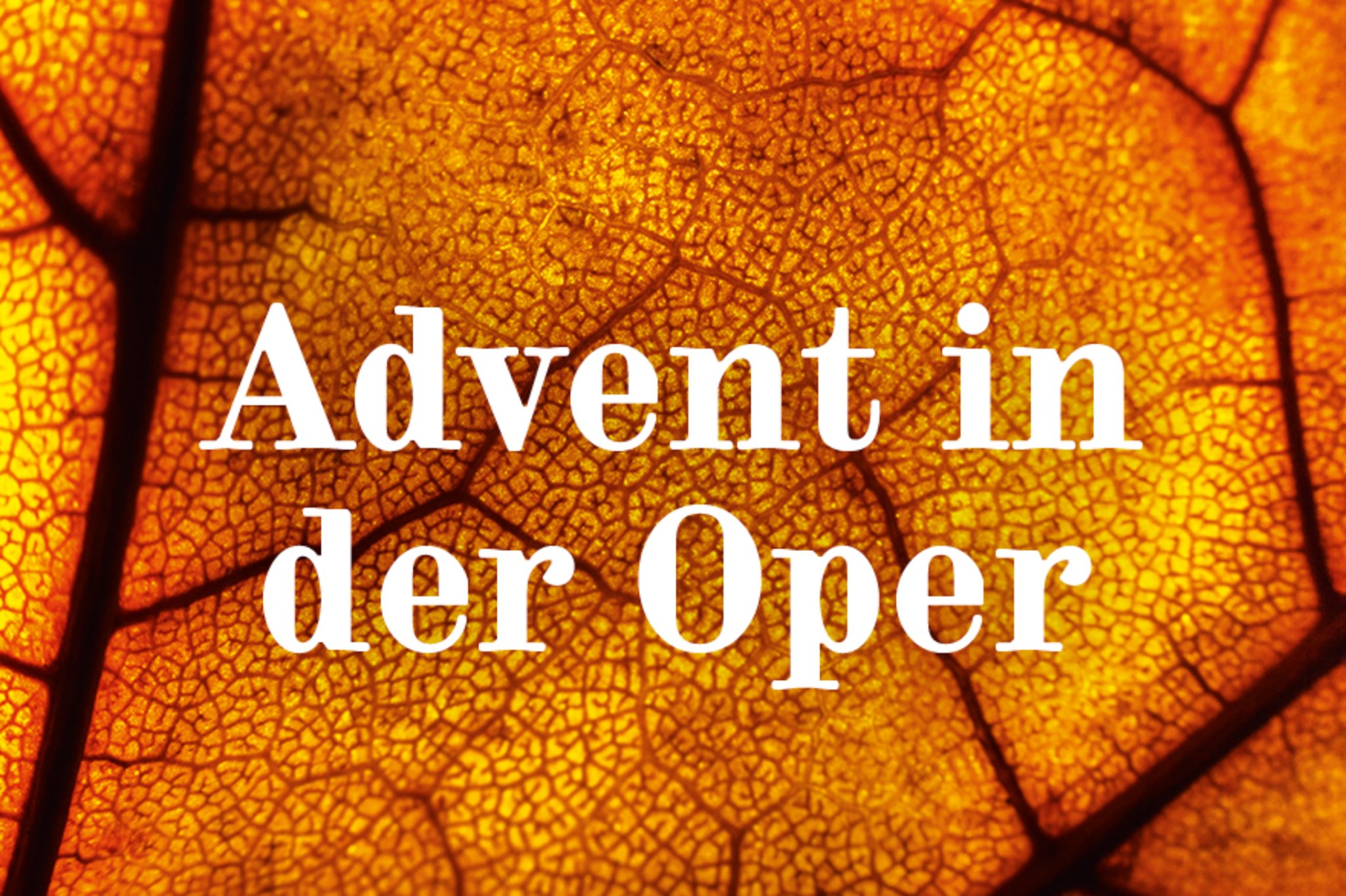 Oper Graz Advent in der Oper Graz