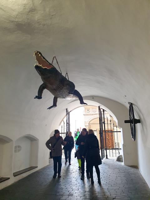 Im Durchgang zum Alten Rathaus begegnet Euch unter der Decke die Figur des berühmten Brünner Drachen. Laut einer Legende lebte selbiger in der Nähe der Stadt und jagte deren Bewohnern Angst und Schrecken ein. Der Stadtrat setzte also eine Belohnung aus für denjenigen, der den Drachen aufspürt und tötet. Ein kluger Ritter hatte eine Idee: Er wickelte ungelöschten Kalk in eine Kuhhaut und legte das Päckchen als Köder aus. Der Drache fraß ihn, trank Wasser und als der Kalk damit gelöscht wurde, platzte das furchteinflößende Monster. Wer sich die Skulptur genauer anschaut, erkennt in ihr wohl eher ein Krokodil.