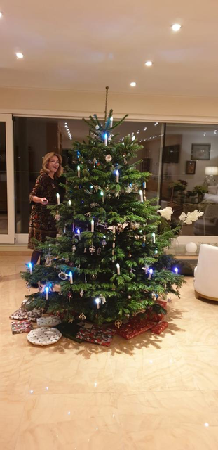Unterm Weihnachtsbaum