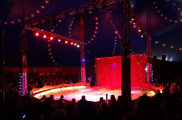 Manege frei, heißt es beim 5. OÖ Weihnachtszirkus in Mauthausen.