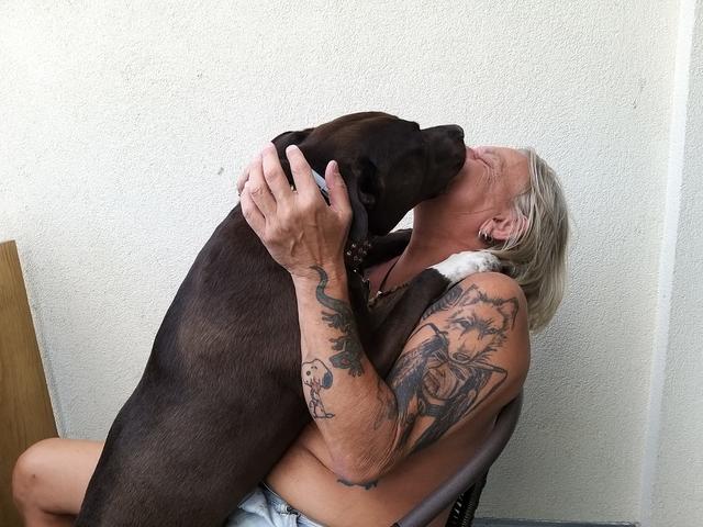 Thomas Krenn und sein Pitbull Jason sind ein Herz und eine Seele. | Foto: Krenn