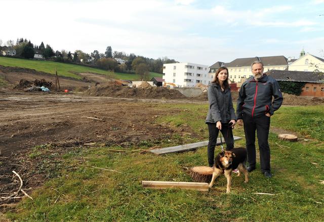 Miriam Üblacker und Gottfried Lamers zwischen gefällten Bäumen im frisch zerstörten Klostergarten. | Foto: Grüne Liste Gablitz