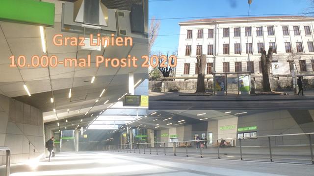 Diese beiden Bäume wurden 10.000-mal schneller repariert - wie der Lichtschalter der Wartehalle bei der Nahverkehrsdrehscheibe...