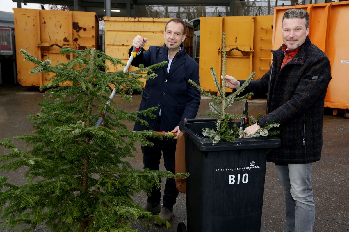 Christbaum Entsorgung Kostenfreie Christbaum Entsorung In