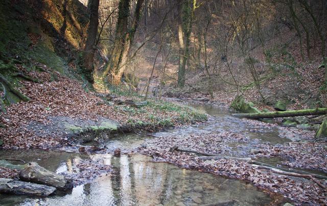 in der romantischen Hagenbachklamm