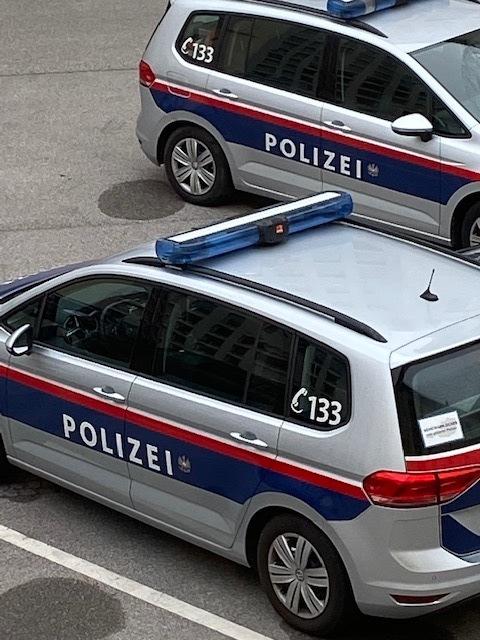 Ein 23-jähriger Adoptivsohn geriet auf die schiefe Bahn: Er stahl aus seinem Elternhaus unter anderem einen Fernseher. | Foto: Petra Weichhart