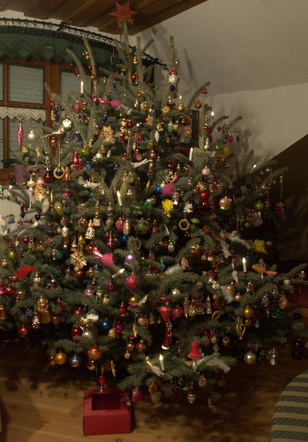 Der schönste Christbaum aus dem Salzkammergut: Das Christkind hatte mit diesem wunderschönen Baum viel Arbeit.