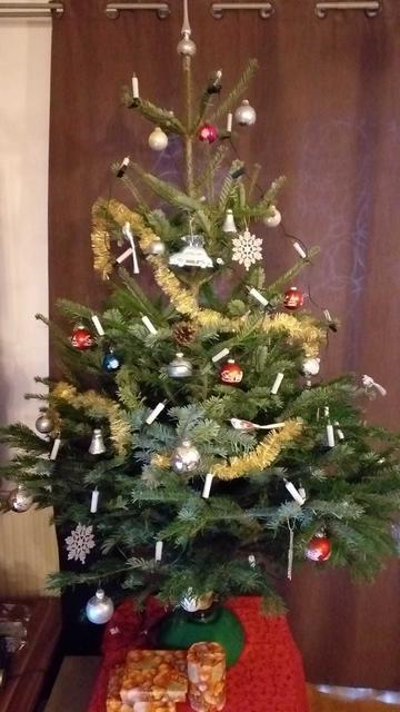 Unser Christbaum 2019 :-)