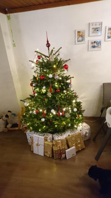 Der schönste Christbaum aus dem Bezirk Braunau. 
