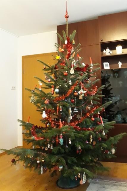 Mein schönster Christbaum | Foto: Reni G.