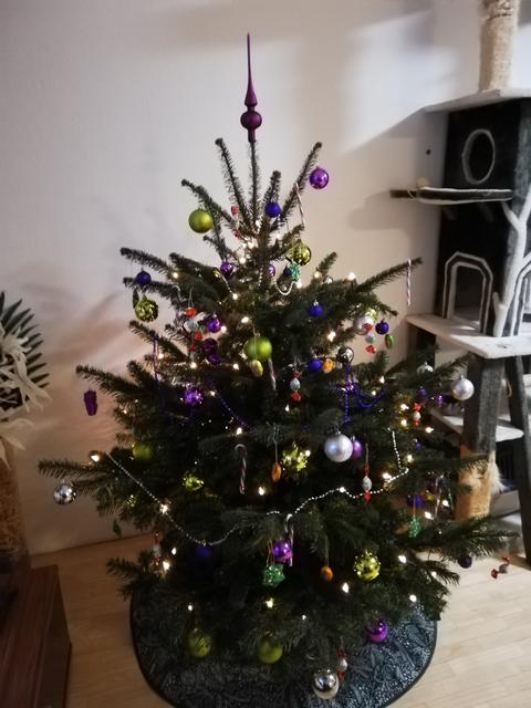 Für mich der schönste! 