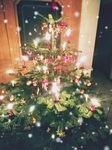 Der schönste Christbaum aus dem Bezirk Grieskirchen/Eferding: Last Christmas... *sing*