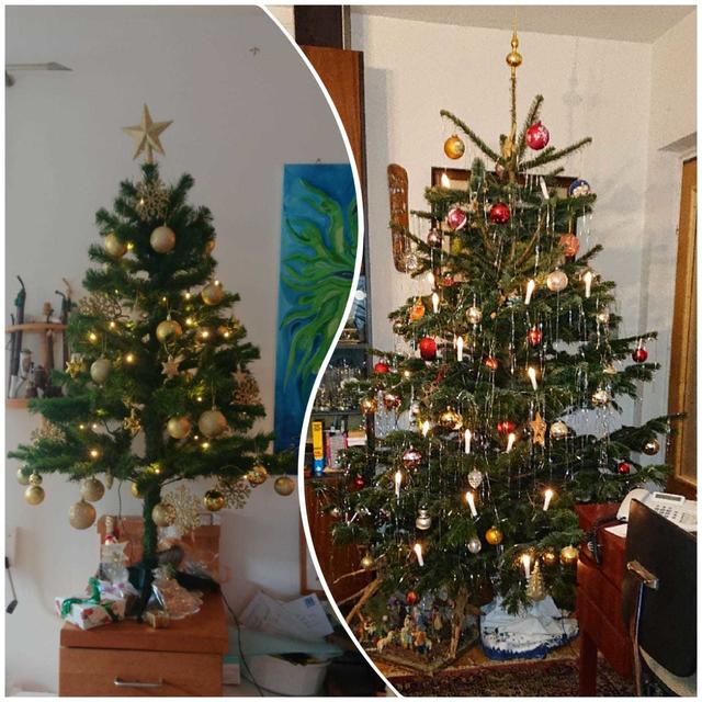 Zwei Christbäume aufgebaut, einmal für Papa links und für Mama recht ;) | Foto: Gisela