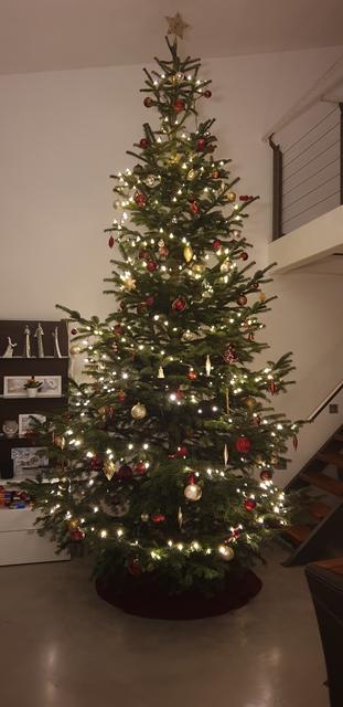 Der schönste Christbaum aus dem Bezirk Linz-Land: Unser wunderschöner 4,10 m Christbaum 😍