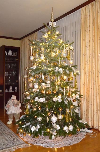 Der schönste Christbaum aus Wels &amp; Wels-Land. 