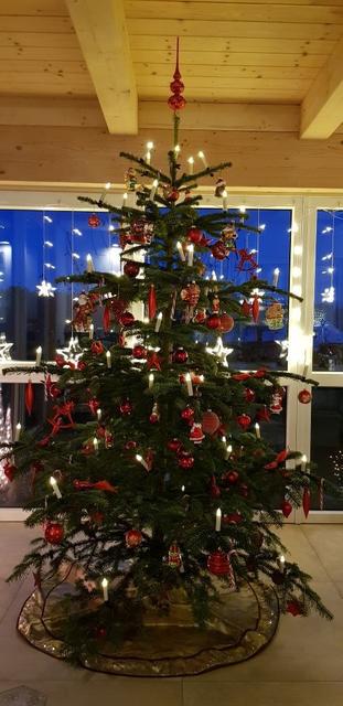 Der schönste Christbaum aus dem Bezirk Freistadt: Unser Christbaum | Foto: Bild von Katharina Wagner
