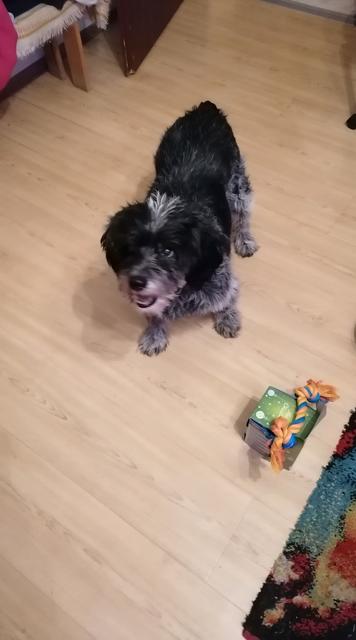 Der kleine Nick | Foto: Claudia Adamec