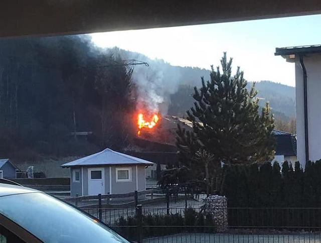 Baum fiel auf Stromleitung, Hecke fing Feuer