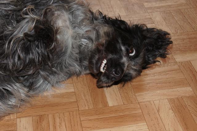 Alina beim Spielen | Foto: Traude Stolz