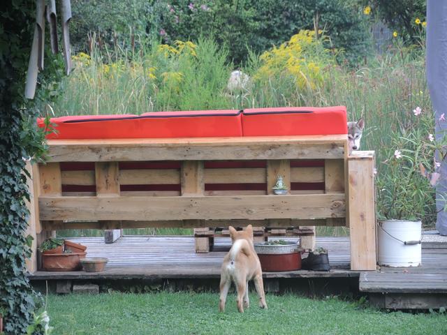Kira und Yoshi beim Versteckspielen | Foto: Andrea Uhl 