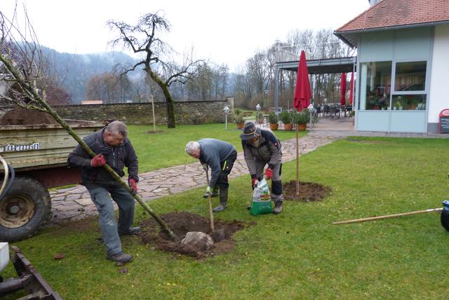 In Keutschach werden weitere Bäume gepflanzt