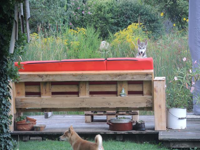 Kira und Yoshi beim Versteckspielen | Foto: Andrea Uhl 