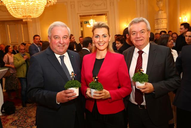 Ministerieller Aufputz: die steirischen Landeschefs Hermann Schützenhöfer und Anton Lang mit Christine Aschbacher. | Foto: Frankl/Land Steiermark